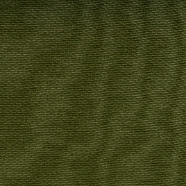 Silvertex Basil